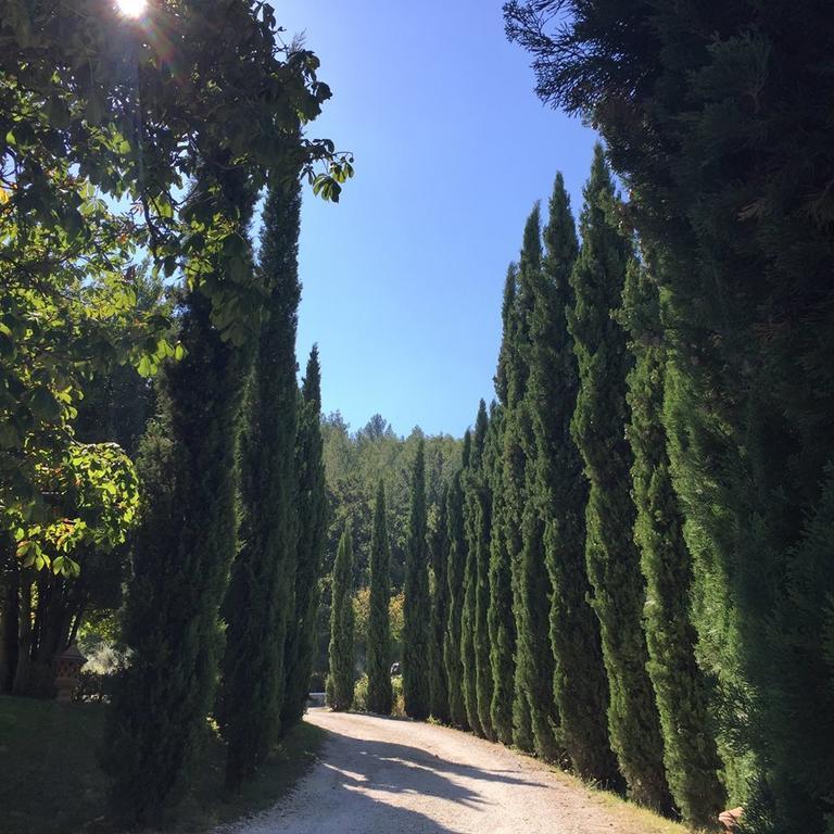 Relais Monastero Di San Biagio Nocera Umbra Exterior foto